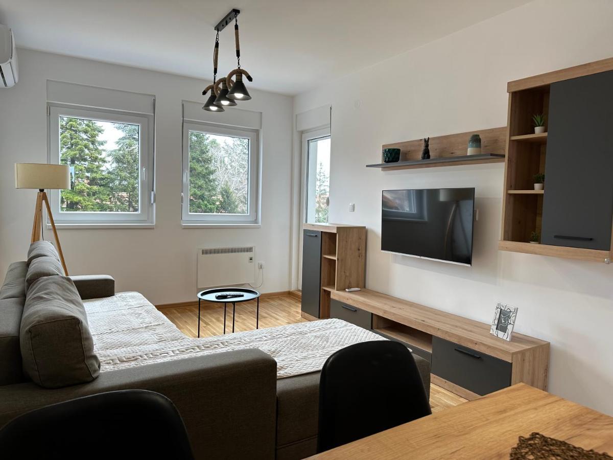 Apartment Aura 2 เบลเกรด ภายนอก รูปภาพ